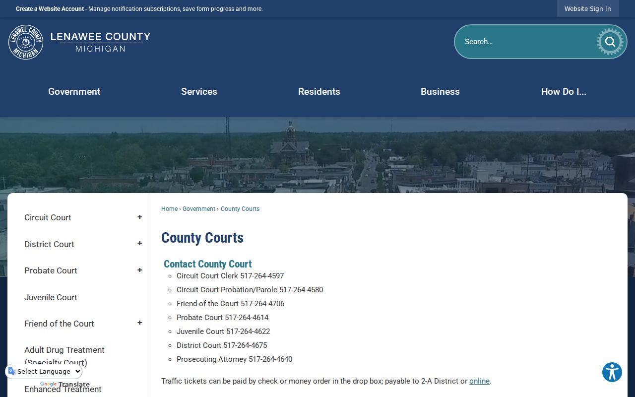 Lenawee County criminal history court overview
